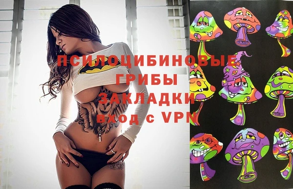 MDMA Premium VHQ Богородицк